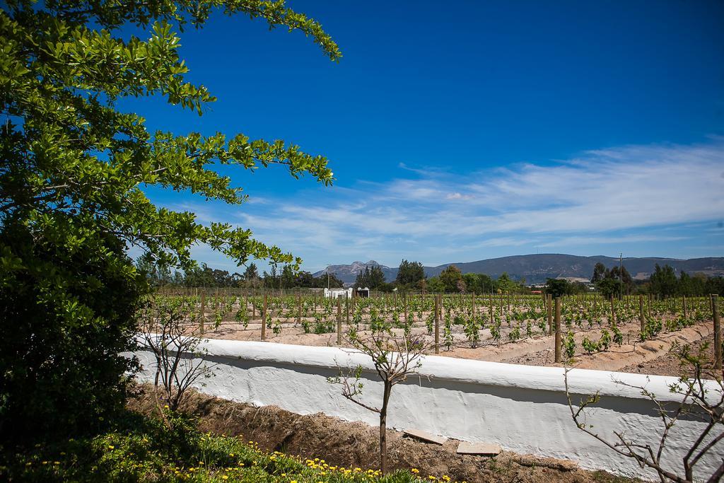1692 De Kleijne Bos Country House Paarl Luaran gambar