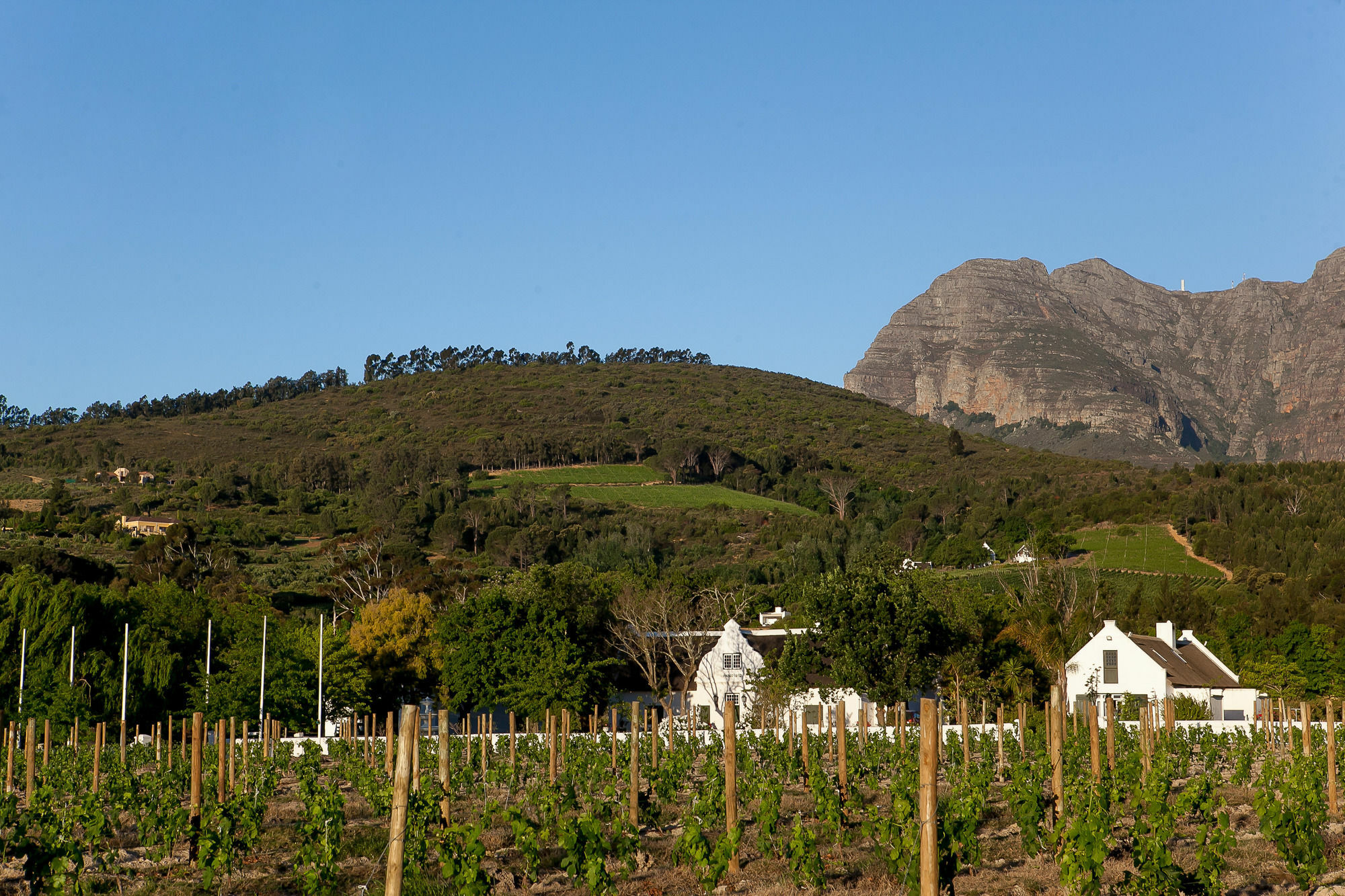 1692 De Kleijne Bos Country House Paarl Luaran gambar