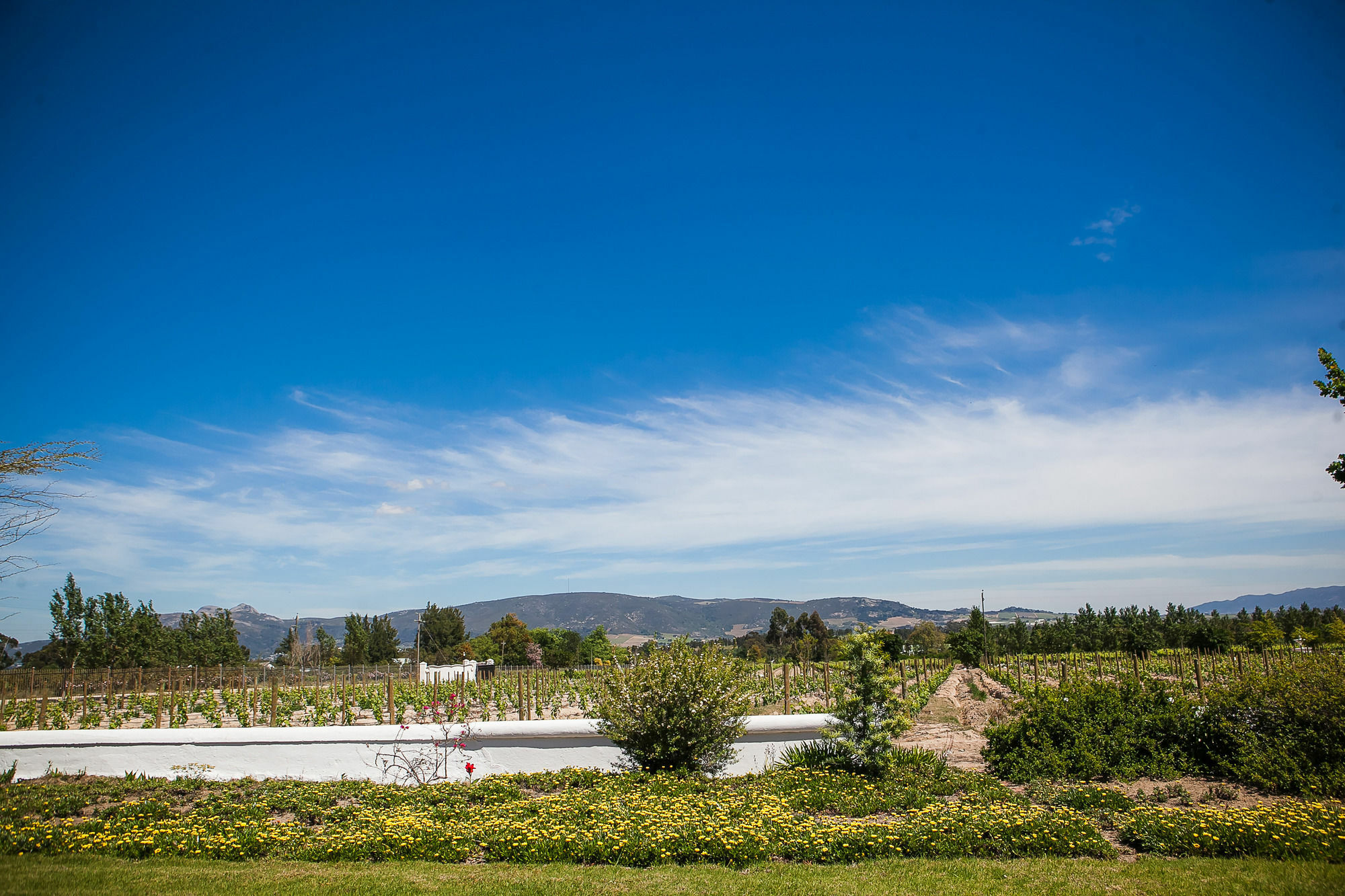 1692 De Kleijne Bos Country House Paarl Luaran gambar