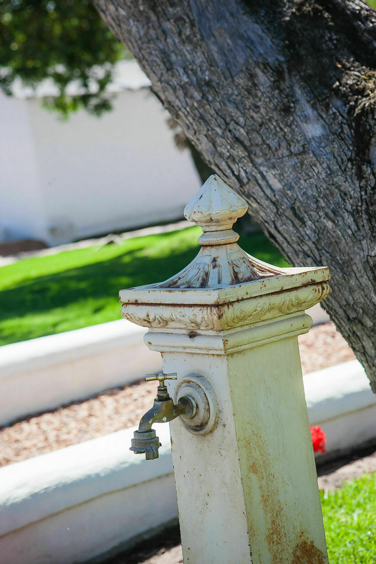 1692 De Kleijne Bos Country House Paarl Luaran gambar