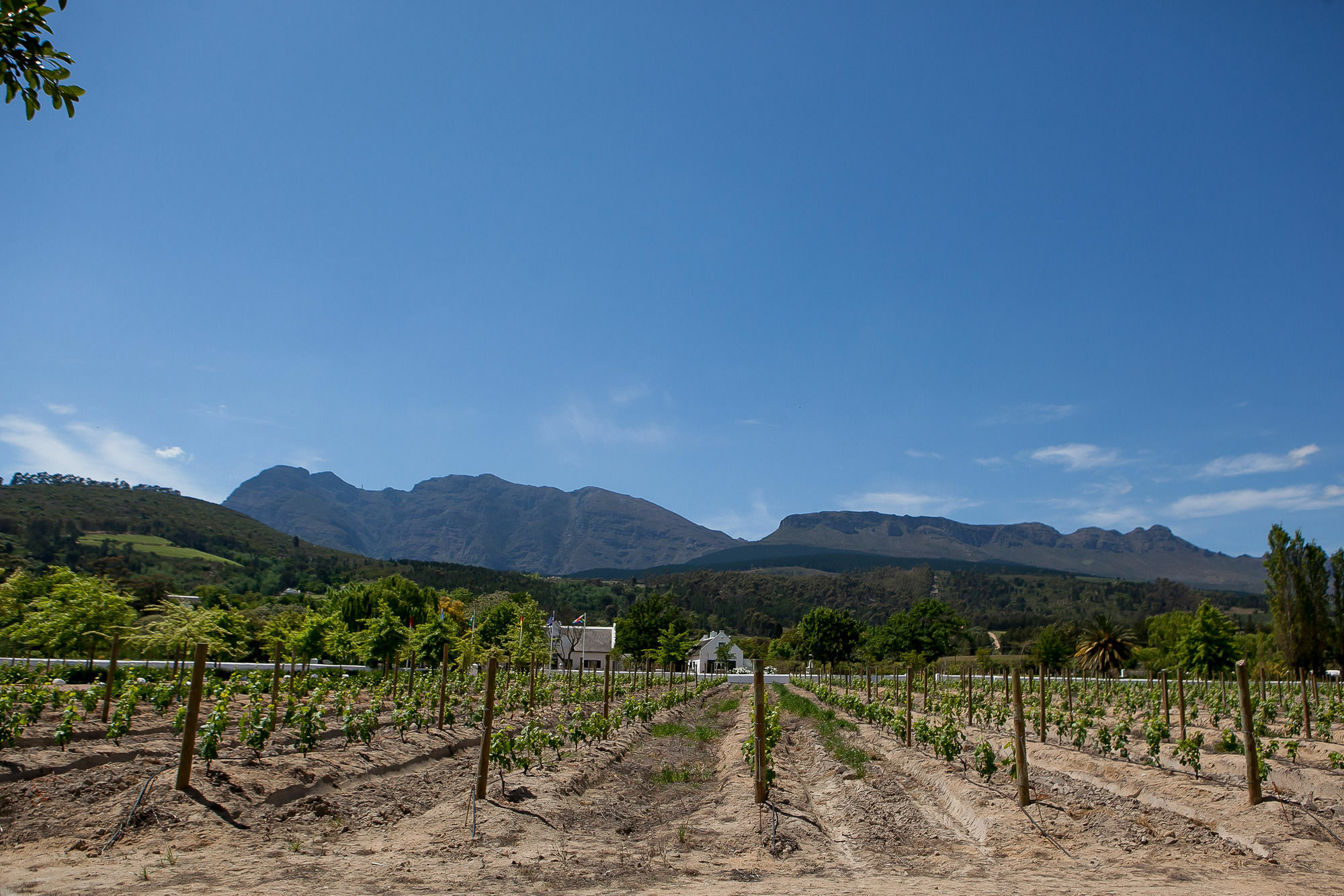 1692 De Kleijne Bos Country House Paarl Luaran gambar
