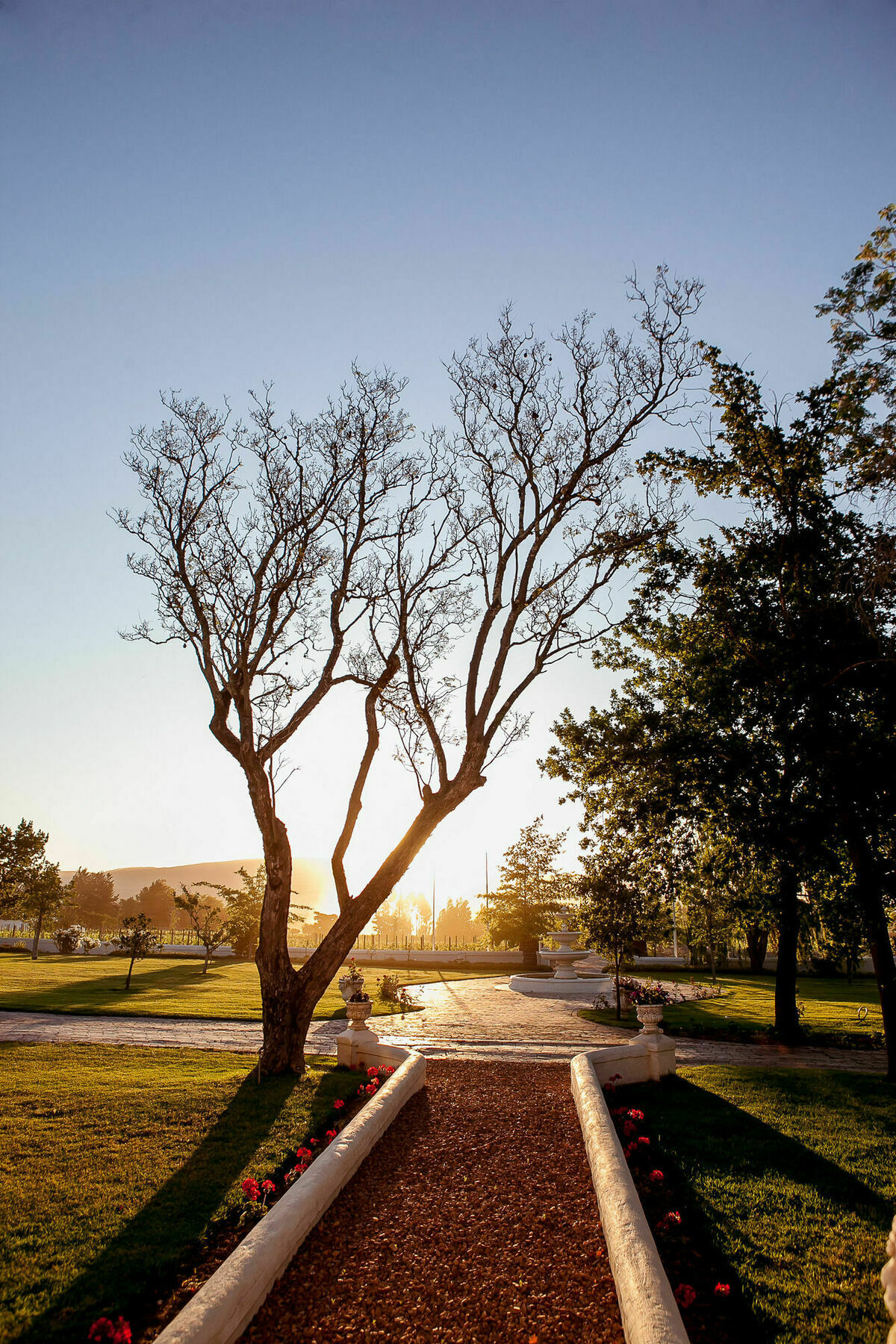 1692 De Kleijne Bos Country House Paarl Luaran gambar