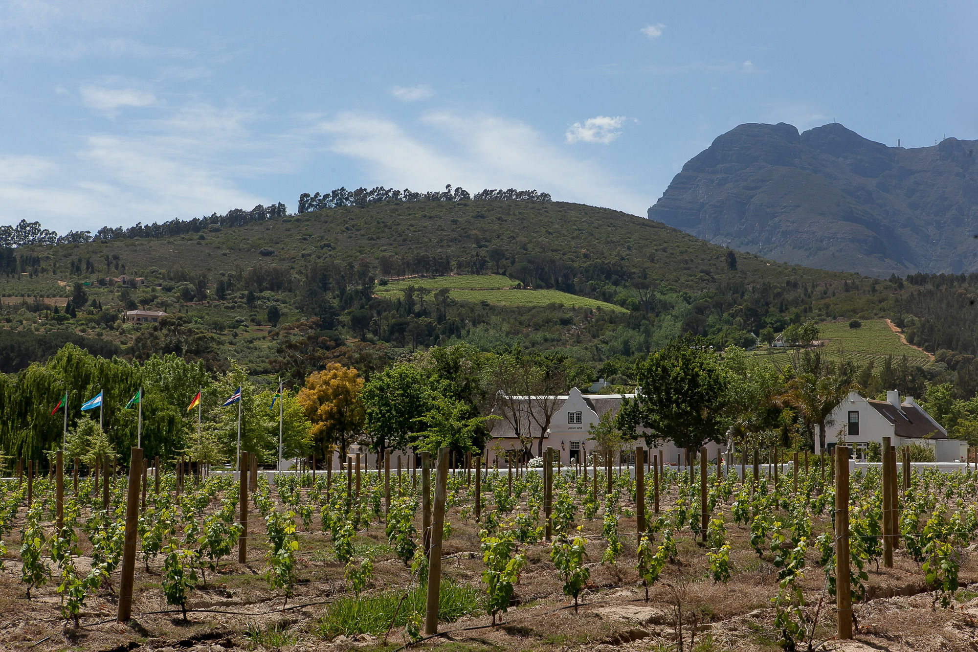 1692 De Kleijne Bos Country House Paarl Luaran gambar