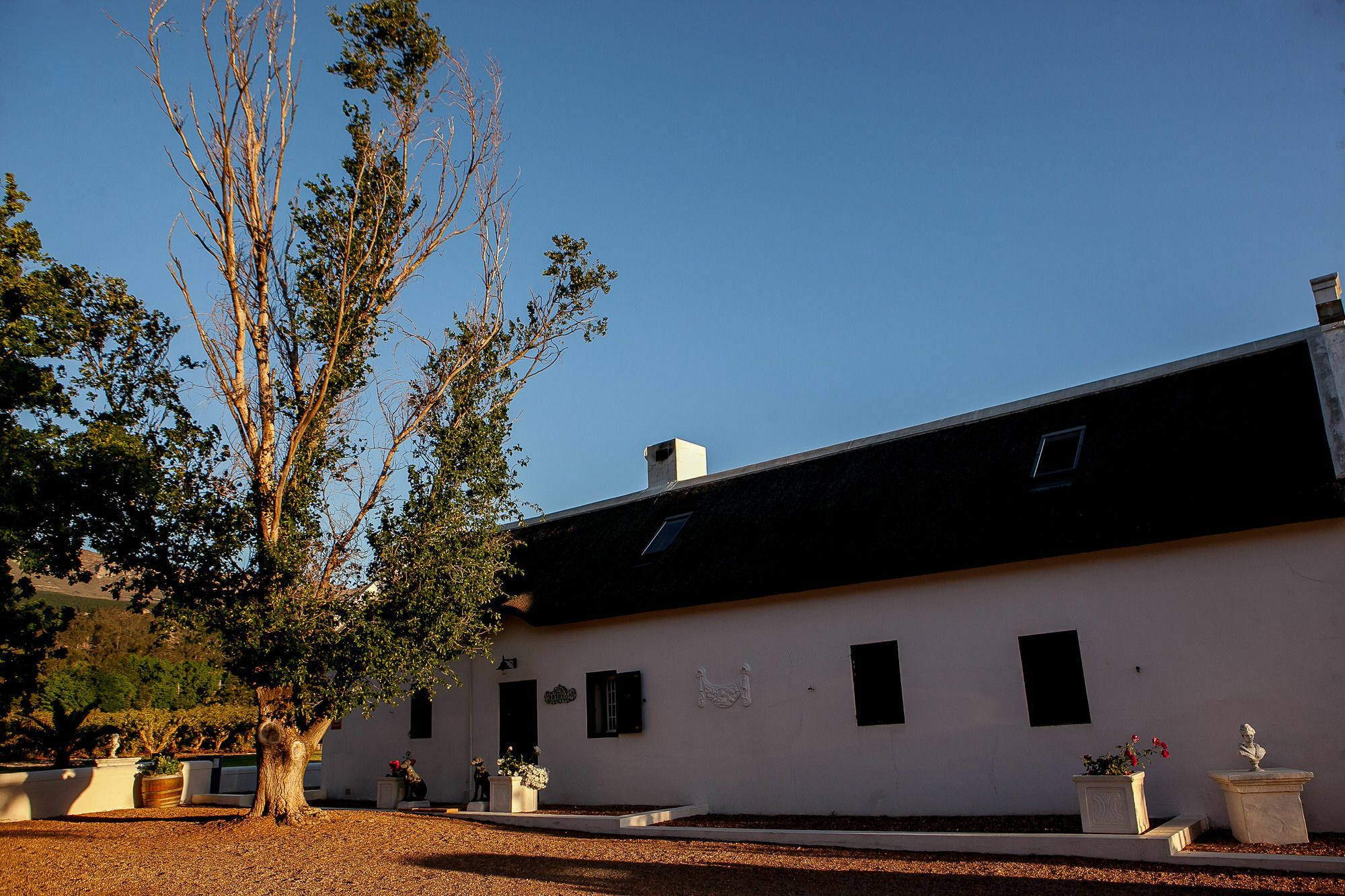 1692 De Kleijne Bos Country House Paarl Luaran gambar